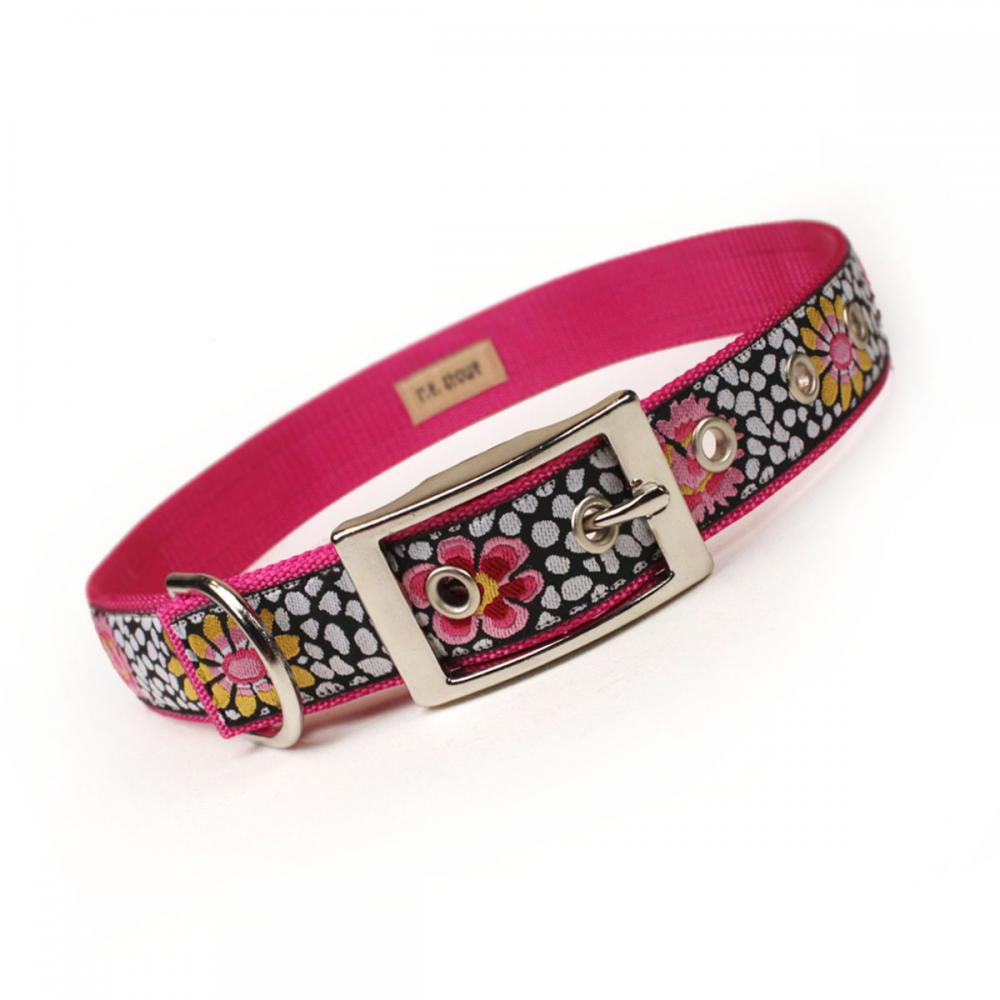 Pink And Black Bold Floral Metal Buckle Dog Collar (1 Inch)